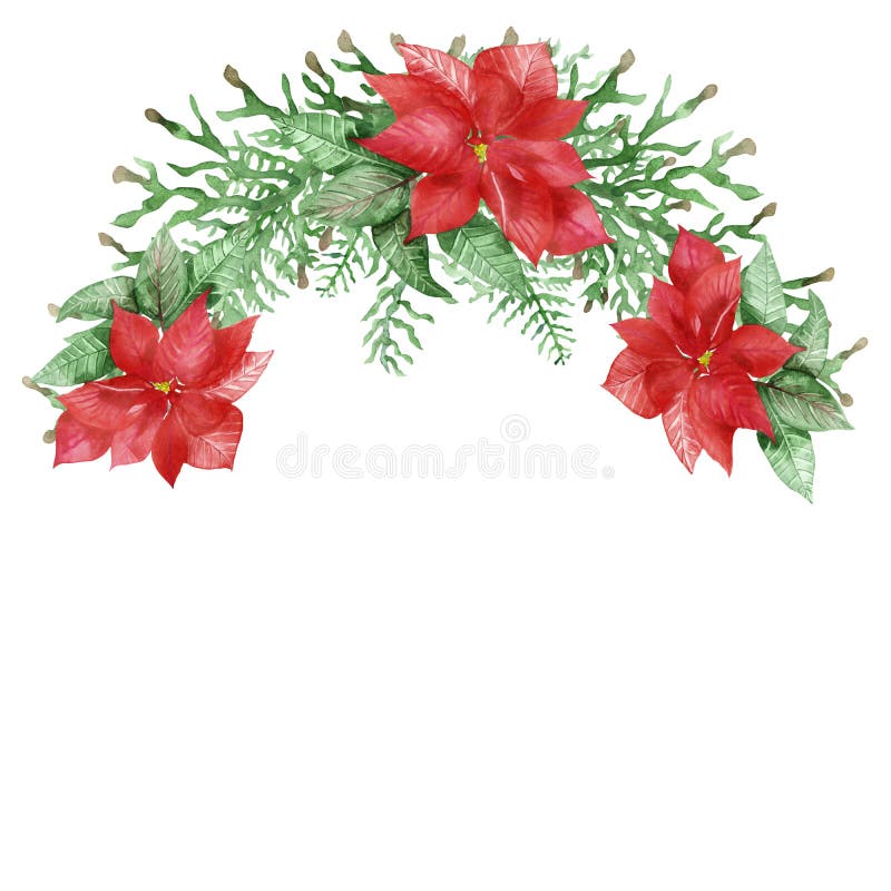 Watercolor hand painted nature christmas half wreath bouquet with red beautiful flower poinsettia and green leaves and branches for invitations and greeting cards with the space for text