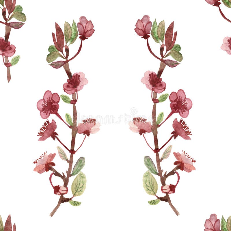 Watercolor hand painted nature floral seamless pattern with apple blossom pink flowers on the branches with green leaves vector illustration Watercolor hand painted nature floral seamless pattern with apple blossom pink flowers on the branches with green leaves vector illustration
