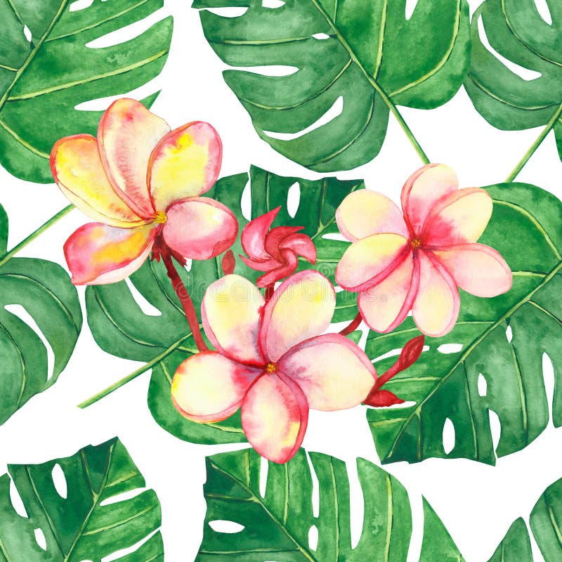 Watercolor hand painted nature tropical plants seamless pattern with green palm leaves and pink blossom plumeria flowers branch on the white background for print design texture