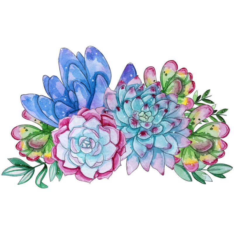 Download Watercolor Succulent Set Stock Vector Illustration Of Element 55602952