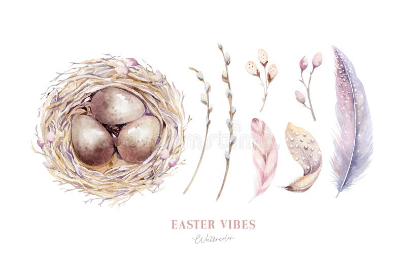 Watercolor happt easter nest with bird eggs with branch and feather isolated on white. Spring hand drawn illustration