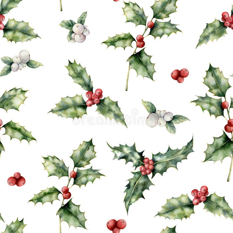 Watercolor holly and mistletoe Christmas seamless pattern. Hand painted holiday plant with red and white berries isolated on white background. Winter floral illustration for design, print, background