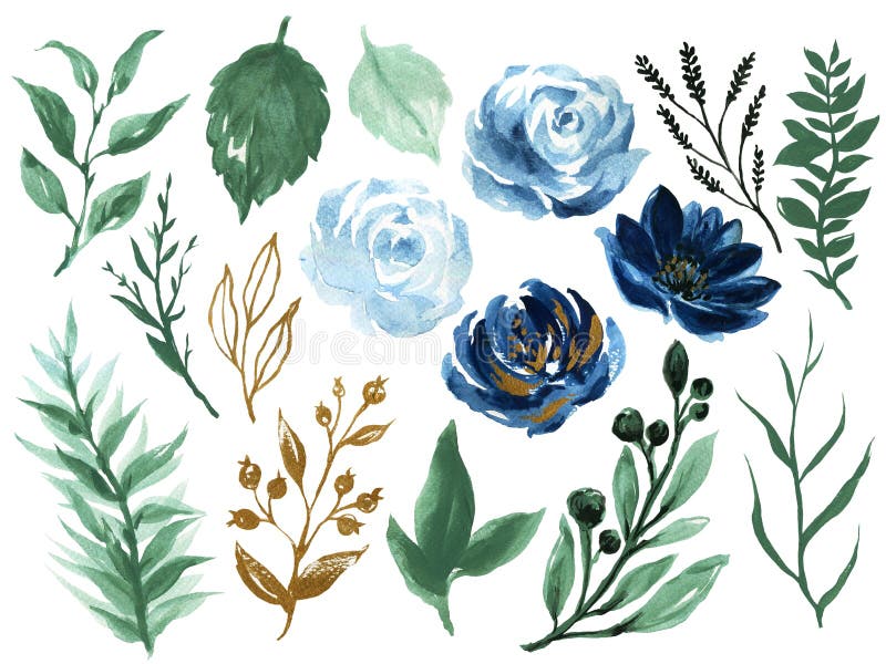 Watercolor illustration Botanical rose teal blue and gold black peony bunch foliage ranunculus wild flower  leaves collection