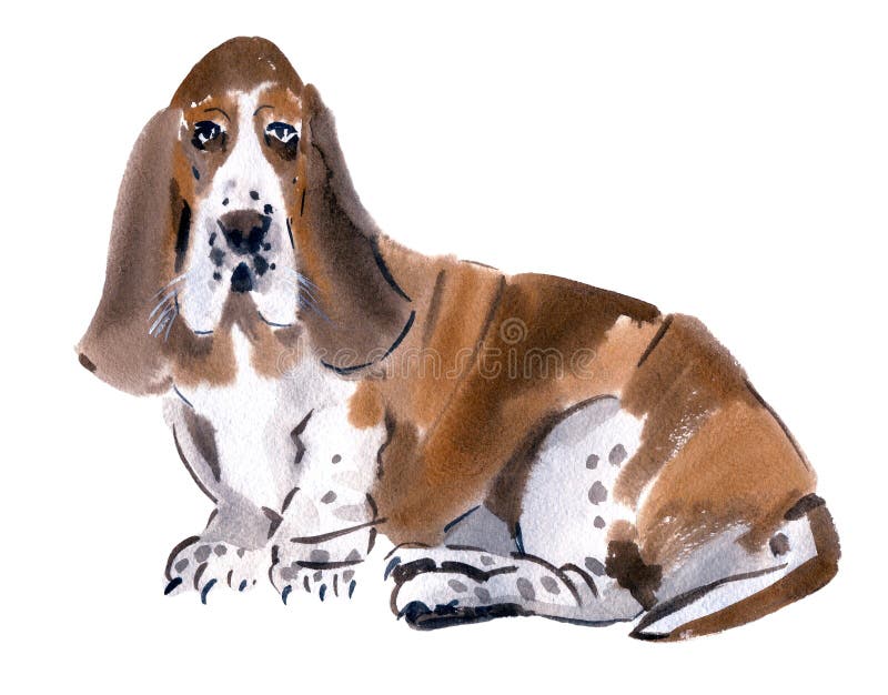 Page 45  Artois Hound Dog Painting Images - Free Download on Freepik