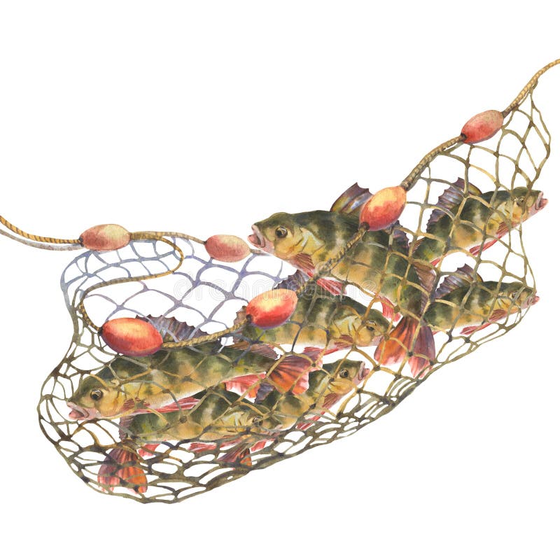 Fishing Net Stock Illustrations – 10,044 Fishing Net Stock Illustrations,  Vectors & Clipart - Dreamstime