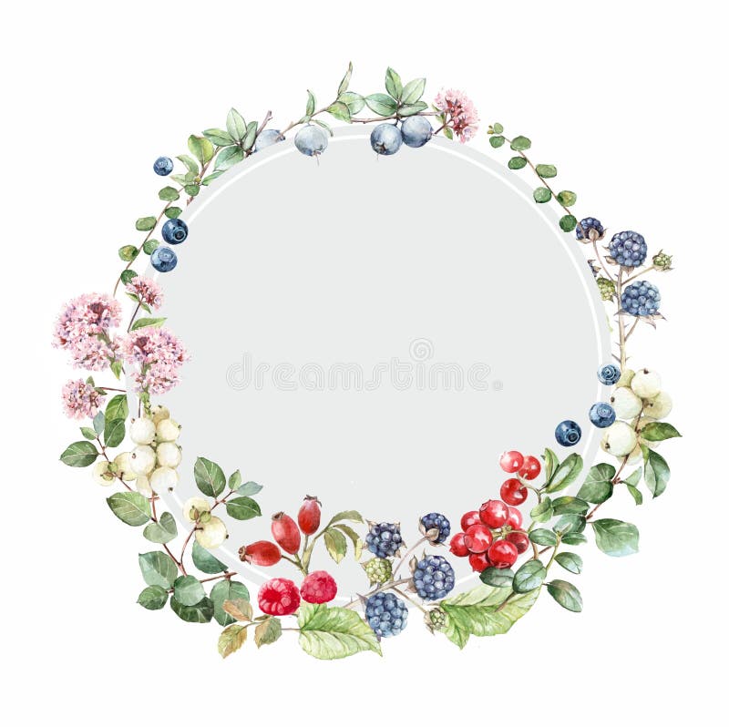 Watercolor illustration flower composition, frame with berries