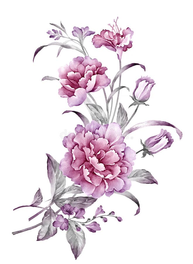 Watercolor illustration stock illustration. Illustration of floral ...