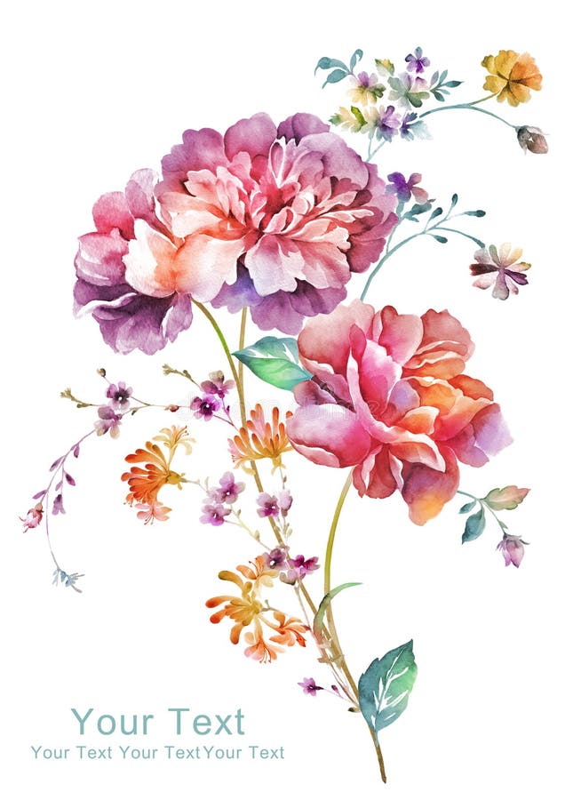 Watercolor Illustration Flower in Simple Background Stock Illustration ...