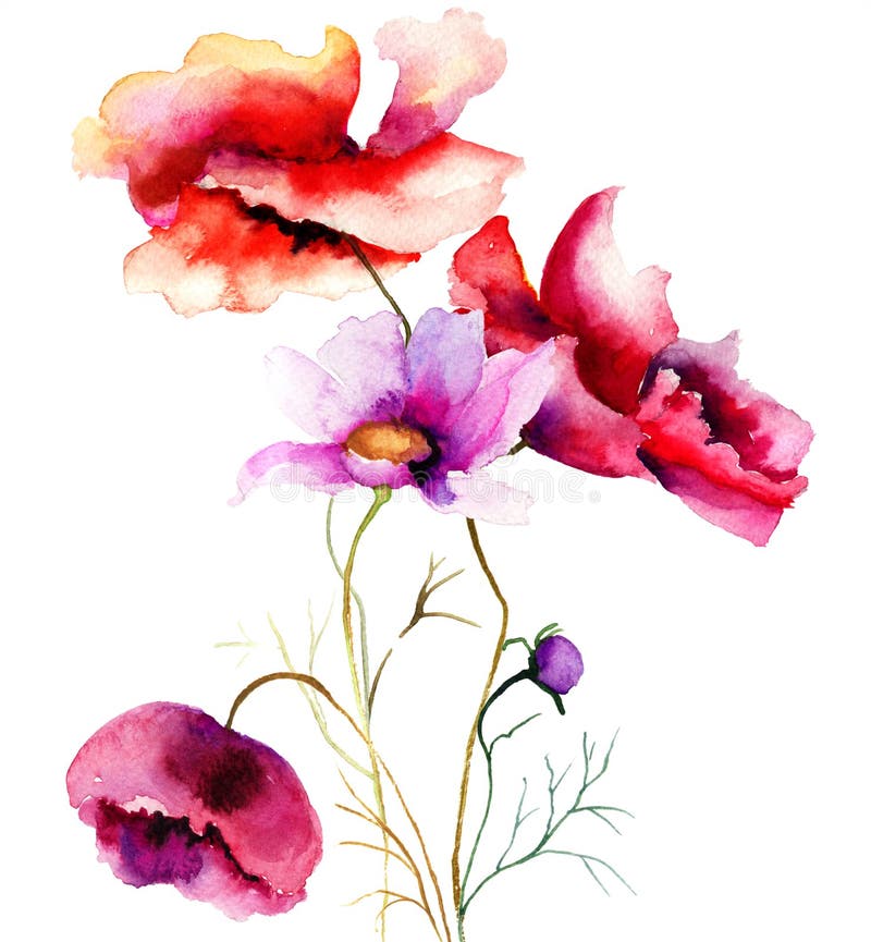 Watercolor Illustration of Tulips Flowers Stock Illustration ...