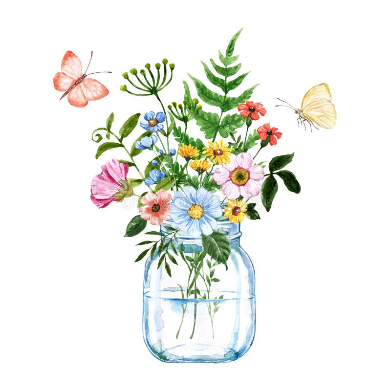Wildflowers bouquet in a mason jar, hand-painted botanical illustration. Watercolor illustration of glass mason jar with wildflower bouquet. Hand painted flowers