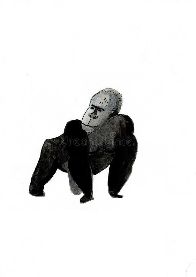 Watercolor illustration with a monkey Gorilla painting vector illustration Watercolor illustration with a monkey Gorilla painting vector illustration