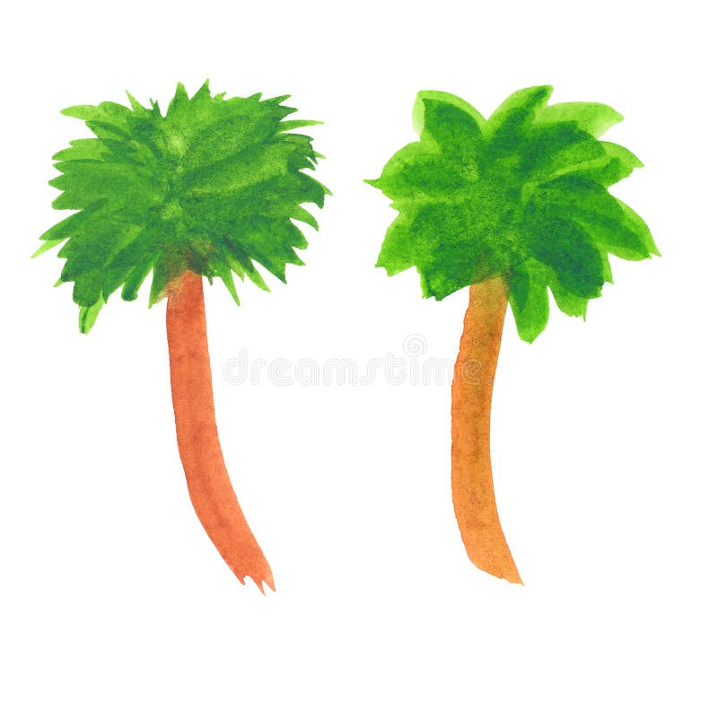 Watercolor Illustration of Palm Trees Stock Illustration Illustration