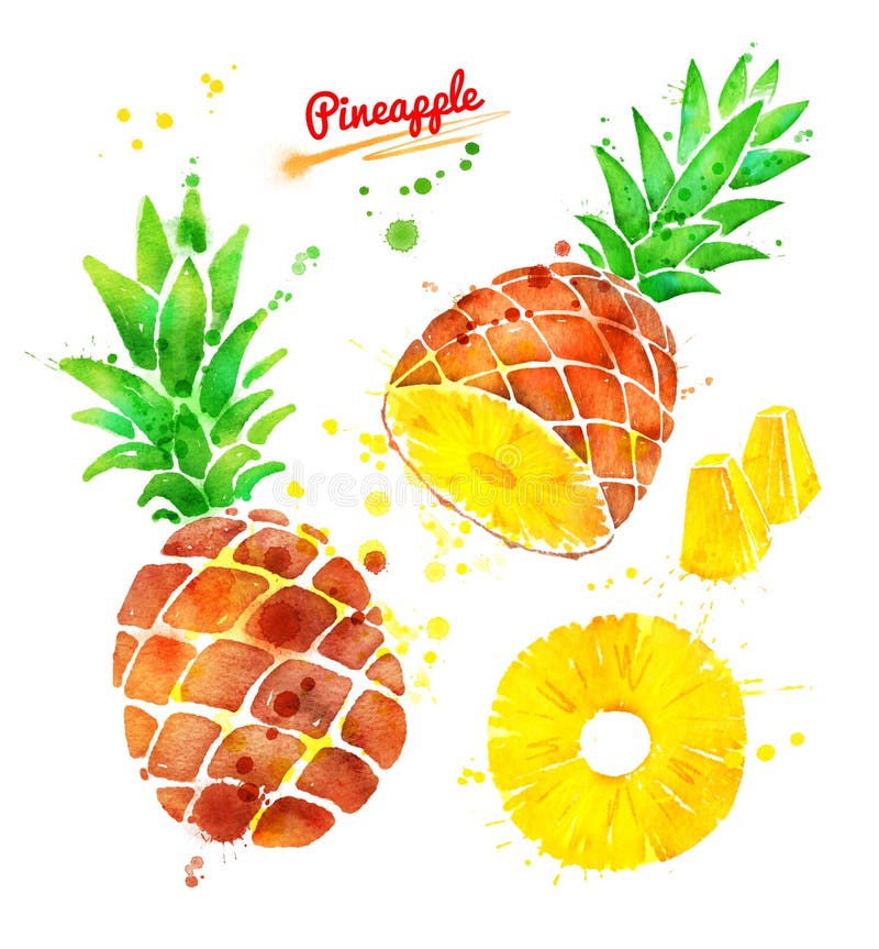 Watercolor illustration set of pineapple, whole, half and sliced with paint splashes.