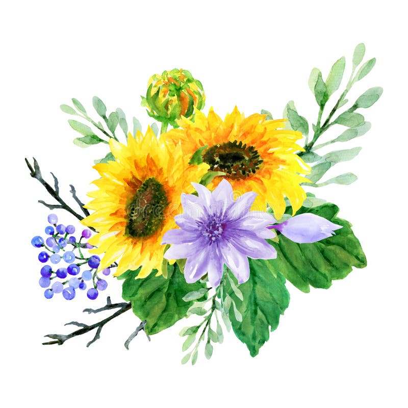 Watercolor Sunflower Isolated on White Background. Hand Drawn Clipart ...