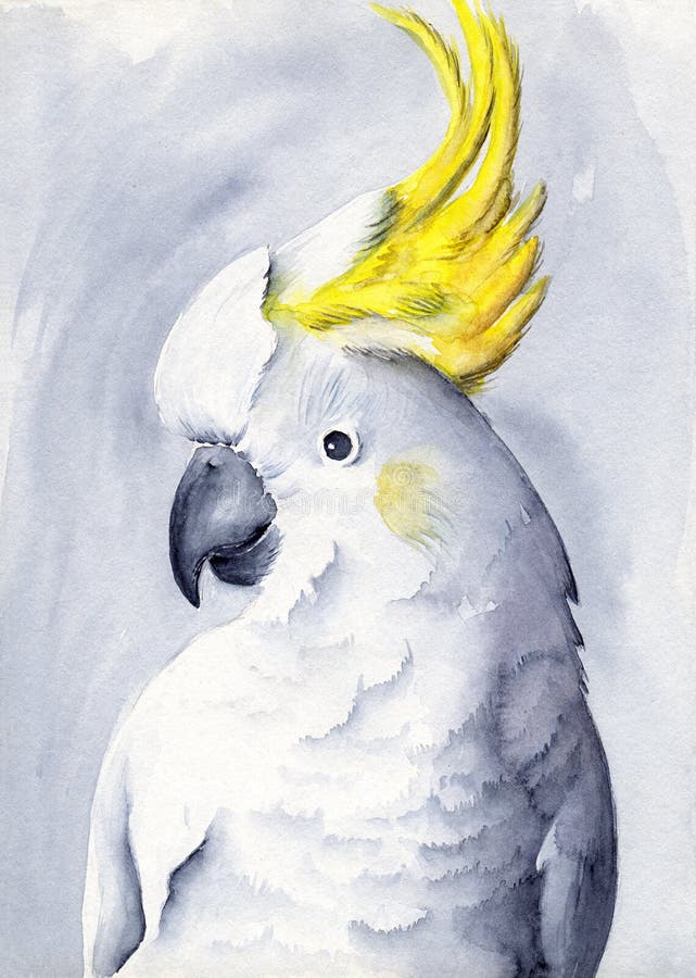 Watercolor illustration of a white parrot cockatoo