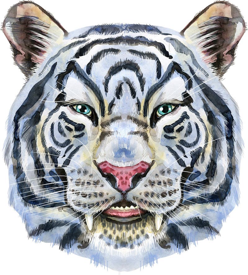 Colorful White Tiger in Santa Hat. Wild Animal Watercolor Illustration ...