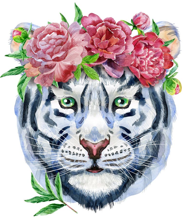 Colorful White Tiger in Santa Hat. Wild Animal Watercolor Illustration ...