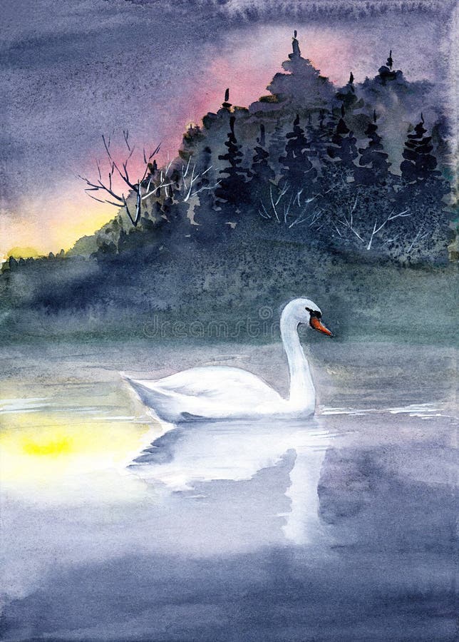 Watercolor illustration of a white swan on a misty lake at dusk, with a dark wooded shore