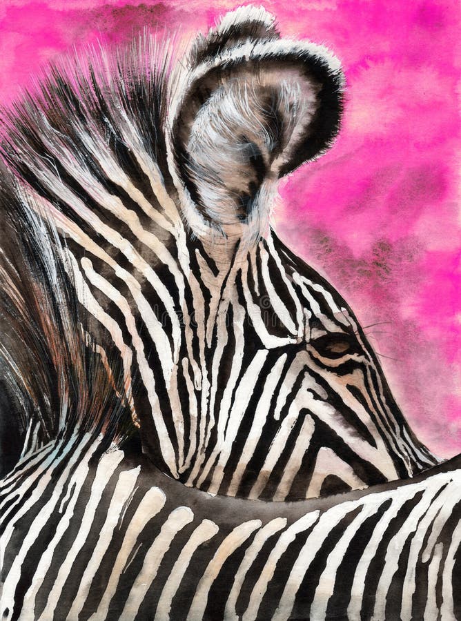 Watercolor illustration of a zebra with contrasting black and white stripes