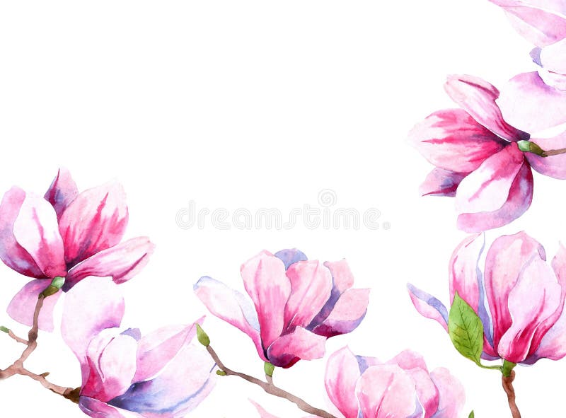 Watercolor image of magnolia flowers. Magnolia spring bloom. greeting card and wedding invitation. wreath of flowers