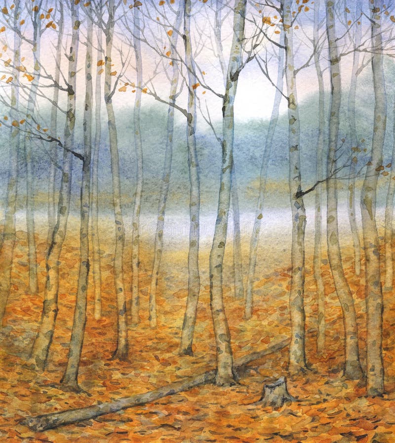 Watercolor landscape. A quiet evening in the autumn forest