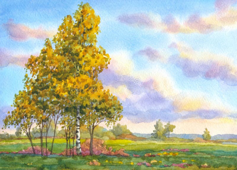 Watercolor landscape. The trees in the evening field