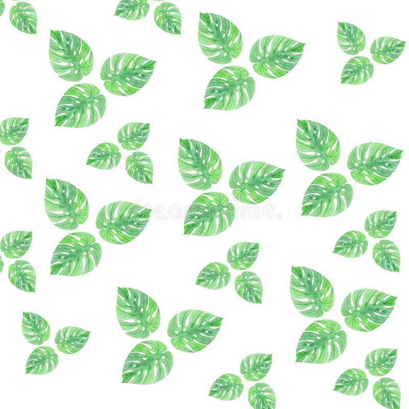 Watercolor leaves summer green pattern isolation gentle drawing wallpaper royalty free illustration Watercolor leaves summer green pattern isolation gentle drawing wallpaper royalty free illustration