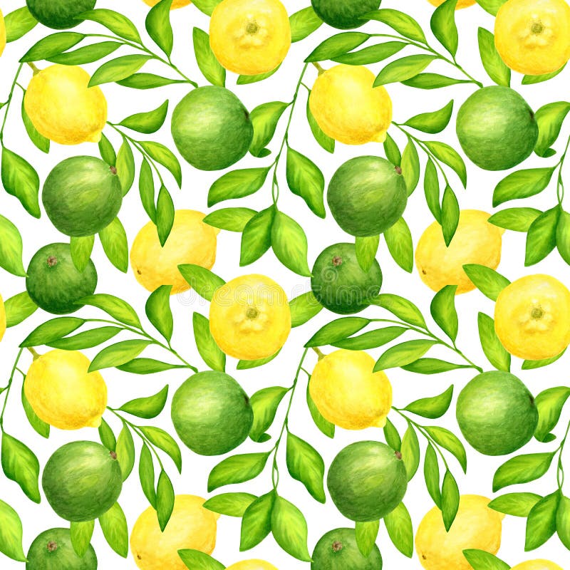 Watercolor Lime with Leaves Seamless Pattern. Hand Painted Fresh Green ...