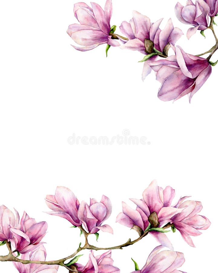 Watercolor magnolia and leaves card. Hand painted border with flowers on branch isolated on white background. Floral elegant illustration for design, print