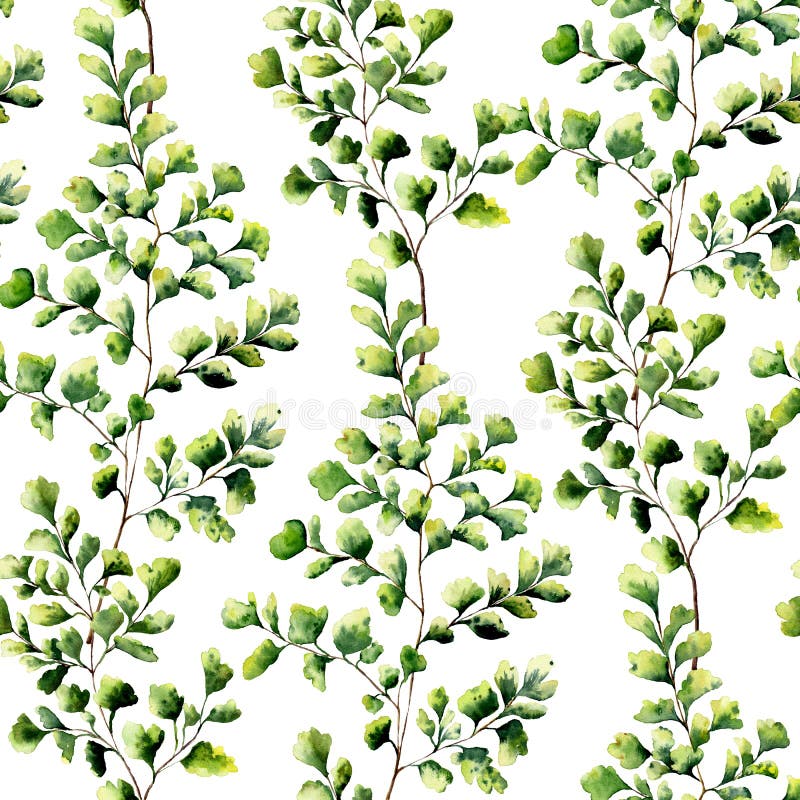 Watercolor maidenhair fern leaves seamless pattern. Hand painted fern ornament. Floral illustration on white background. royalty free illustration Watercolor maidenhair fern leaves seamless pattern. Hand painted fern ornament. Floral illustration on white background. royalty free illustration