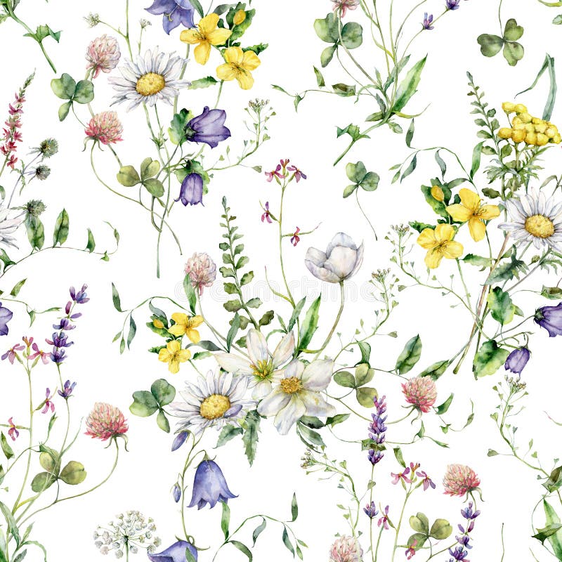 Watercolor meadow flowers seamless pattern of chamomile, buttercup, tansy and campanula. Hand painted floral