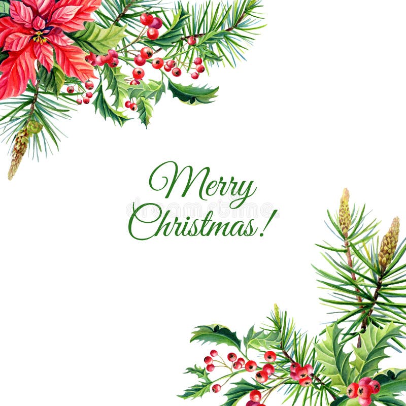 Watercolor Merry Christmas Frame with Red poinsettia flowers,Holly,leaves,berries,pine, stock illustration Watercolor Merry Christmas Frame with Red poinsettia flowers,Holly,leaves,berries,pine, stock illustration