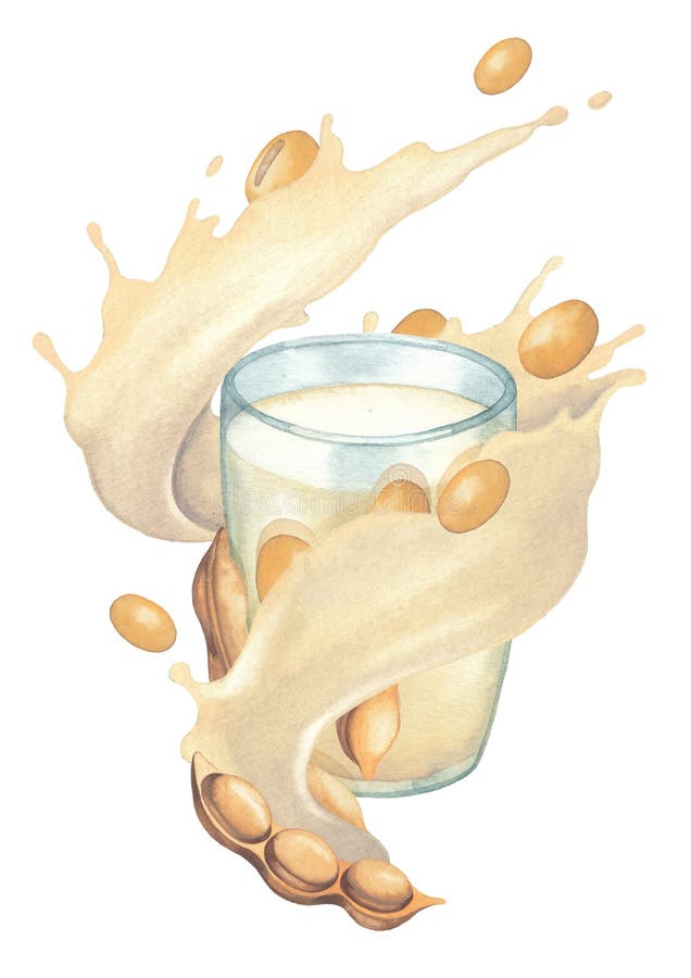 Watercolor milk stream with soy beans flowing around the glass. Hand painted illustration isolated on the white background royalty free illustration Watercolor milk stream with soy beans flowing around the glass. Hand painted illustration isolated on the white background royalty free illustration
