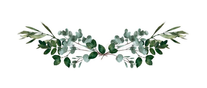 Watercolor modern decorative element. Eucalyptus round Green leaf Wreath, greenery branches, garland, border, frame, elegant