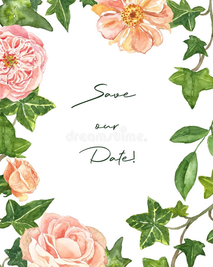 Watercolor modern floral frame template for wedding invitations and cards with blush pink roses and ivy green leaves, isolated. royalty free illustration Watercolor modern floral frame template for wedding invitations and cards with blush pink roses and ivy green leaves, isolated. royalty free illustration
