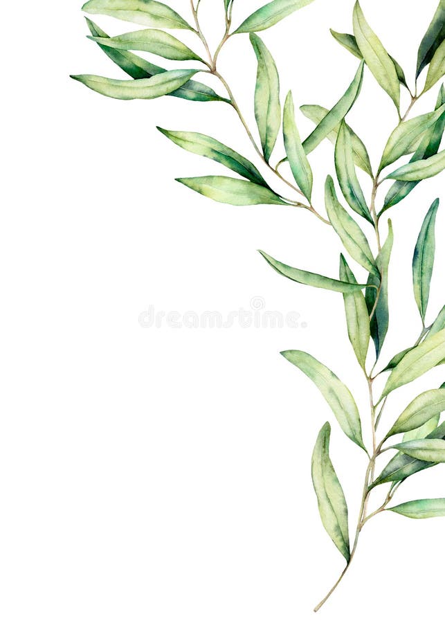 DESIGN Watercolor Olive Branch Rectangle Store Deals, 49% OFF | sojade ...