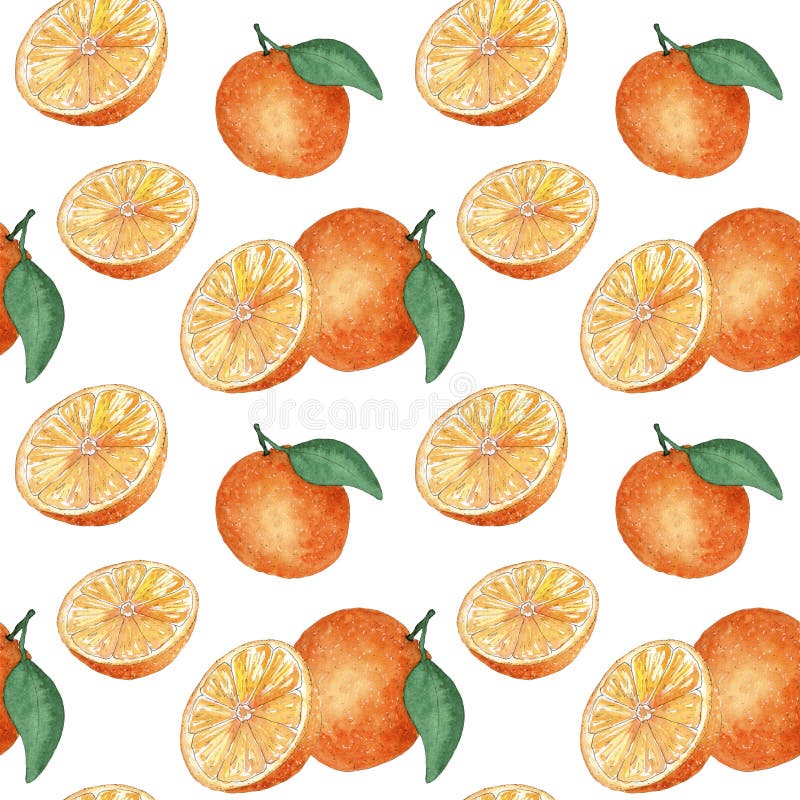 Watercolor oranges stock illustration. Illustration of cuisine - 14517070