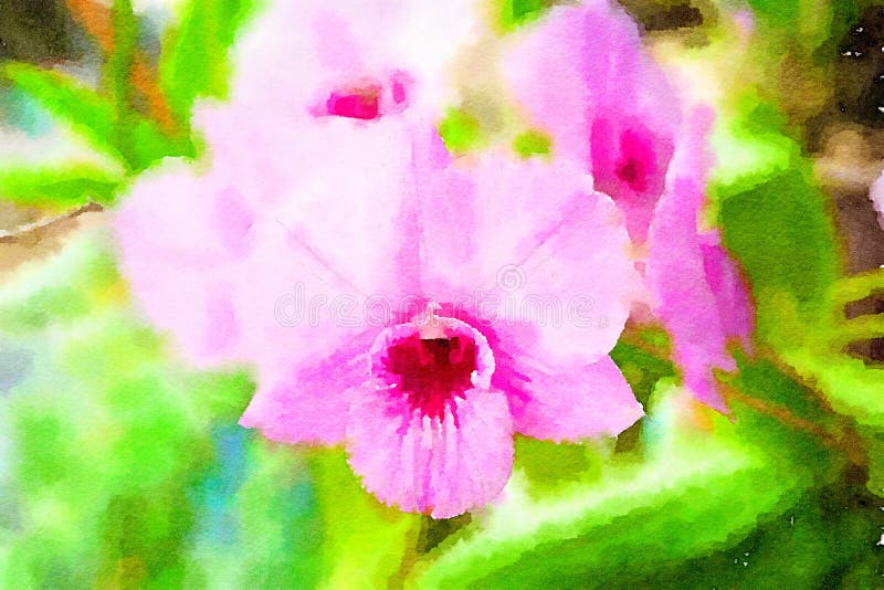 Watercolor of orchid flower background royalty free illustration Watercolor of orchid flower background royalty free illustration
