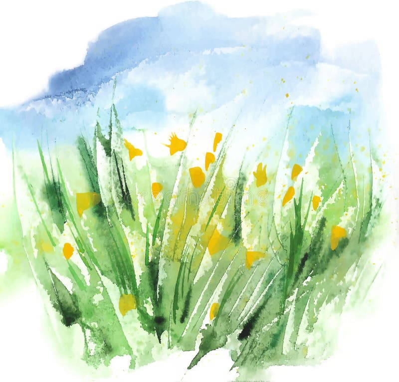 Watercolor Organic Eco Friendly Green Grass And Yellow Flowers Field With Blue Sky. Vector Background vector illustration