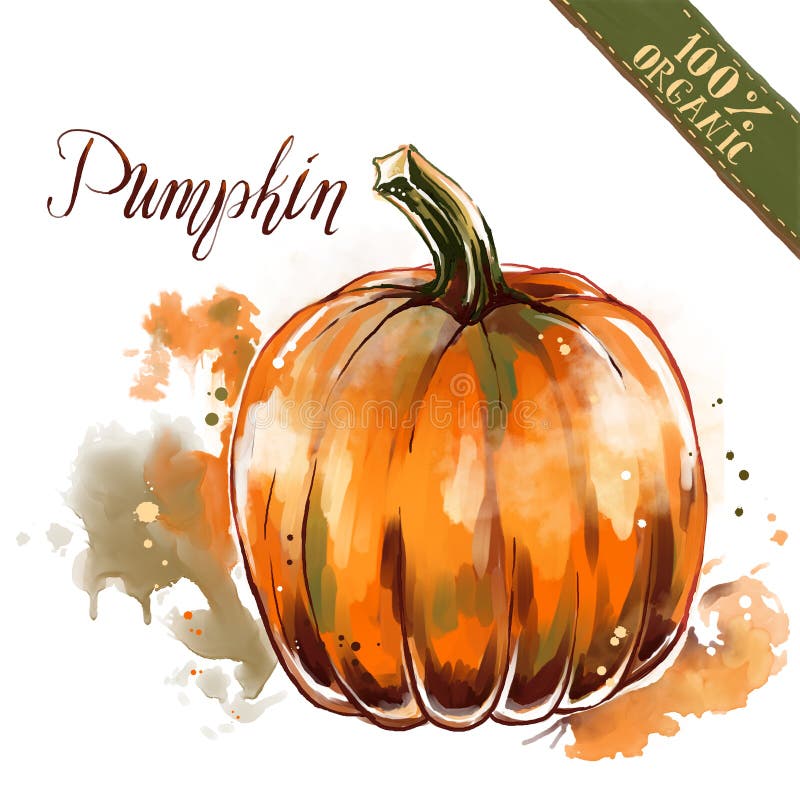 Watercolor organic health food for vegetarians and health care. Fresh raw pumpkin