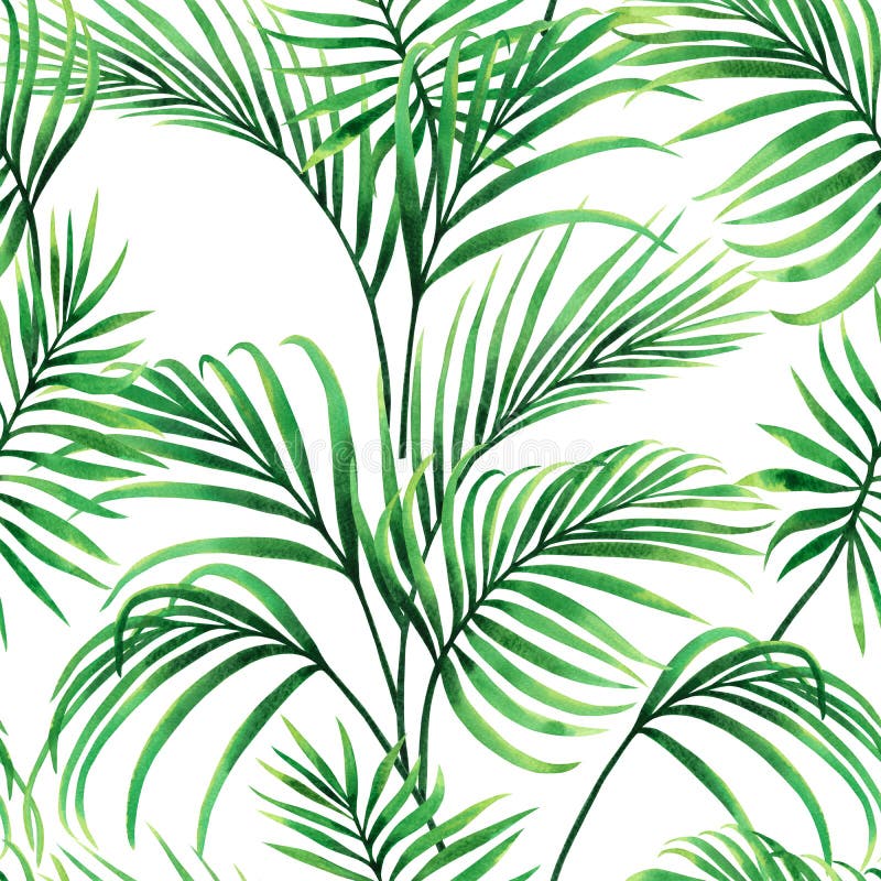 Watercolor painting coconut,palm leaf,green leaves seamless pattern background.Watercolor hand drawn illustration tropical exotic