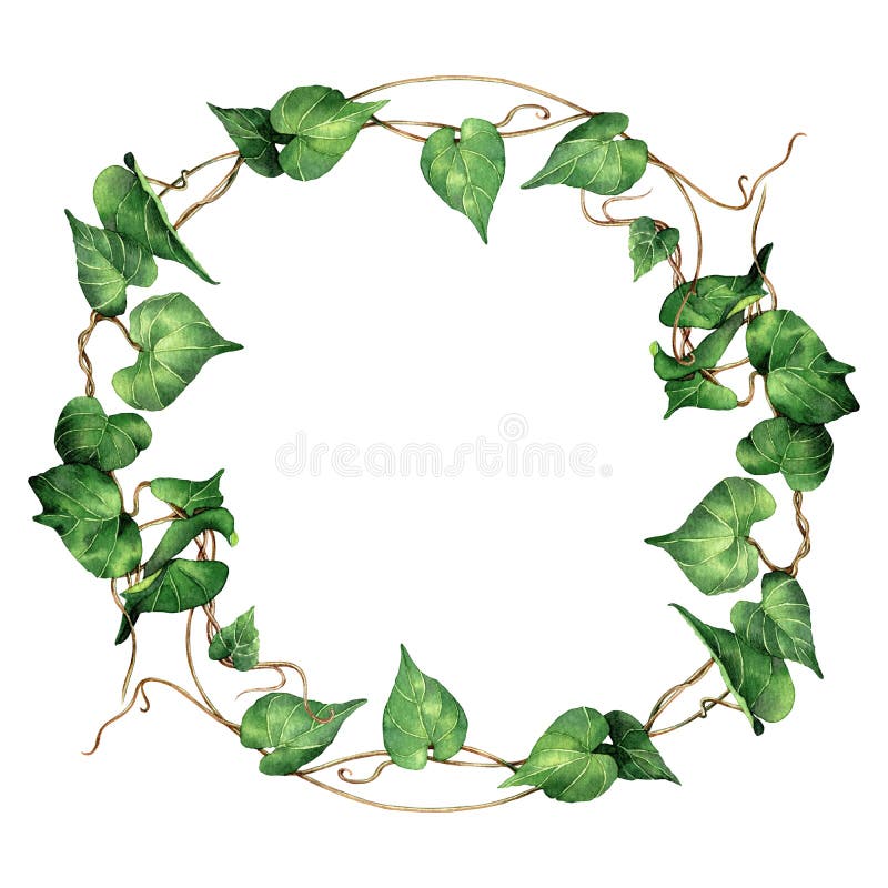 Watercolor painting ivy,green leaves,palm leaf isolated on white background.Watercolor hand painted illustration frame,tropical ex