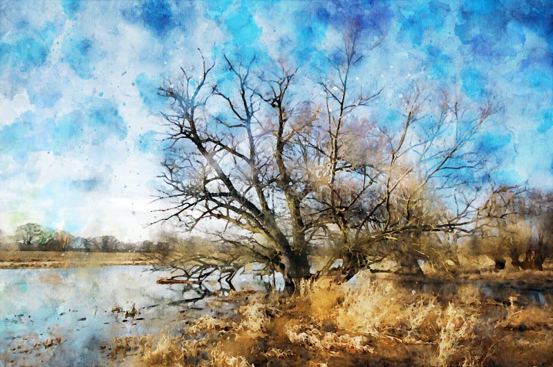 Watercolor painting of old Willow tree on Havel river in Havelland Germany. Autumn time