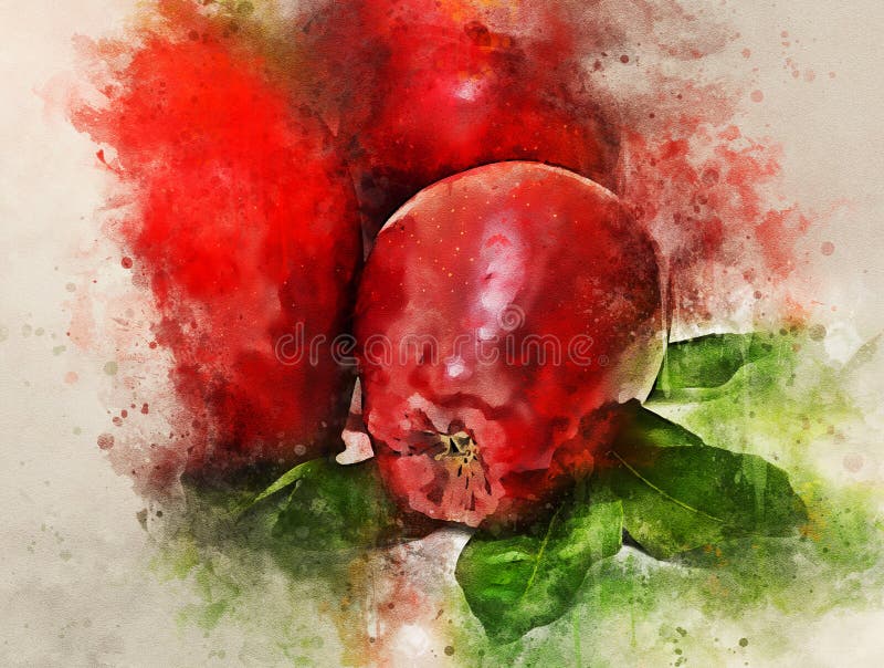 Watercolor painting of red apples isolated on white background stock illustration Watercolor painting of red apples isolated on white background stock illustration