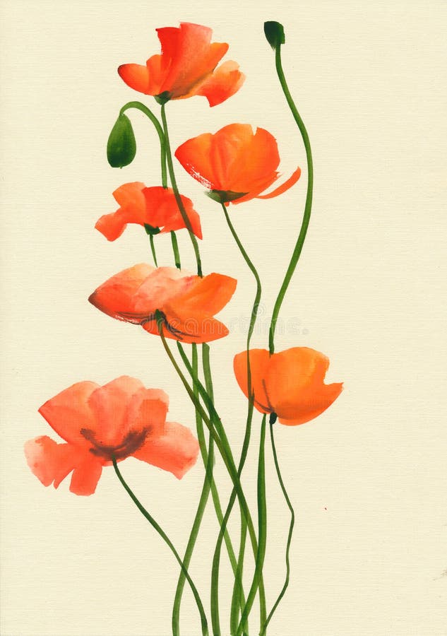 Watercolor Painting of Red Poppies Stock Illustration - Illustration of ...