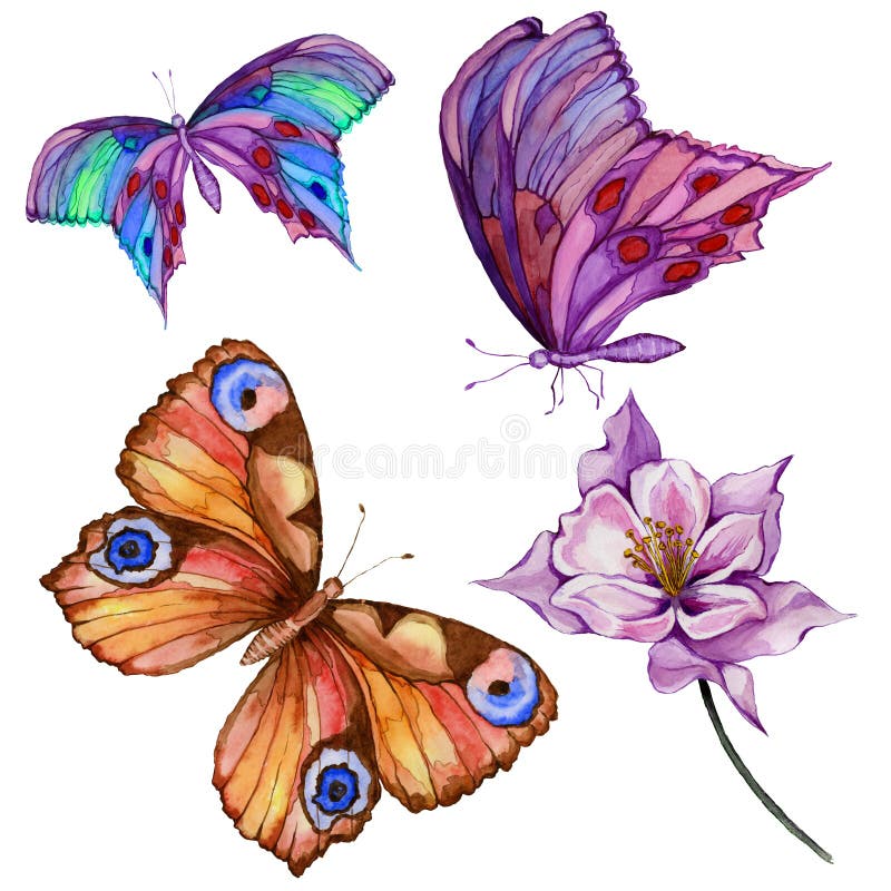 Watercolor painting set. Three bright beautiful butterflies, colombine flower on a stem. Isolated on white background.