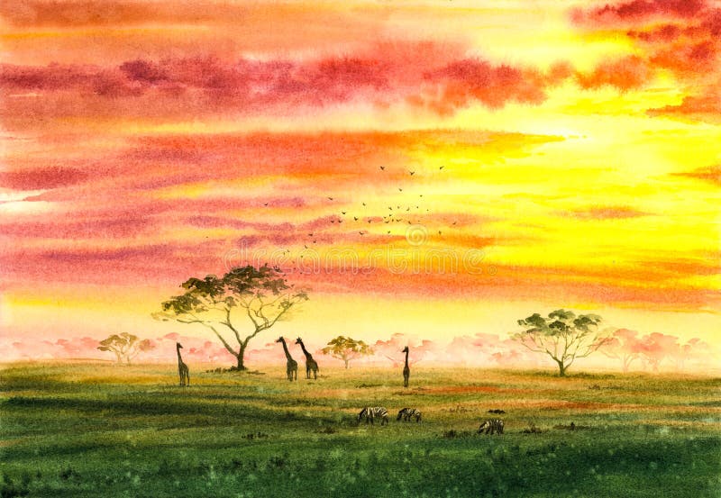 Watercolor Painting - Wild Firaffe and Zebra  with twilight, in Africa Field