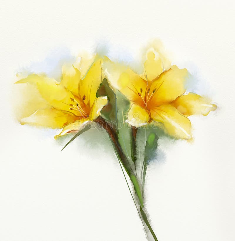 Watercolor painting yellow lilies flower