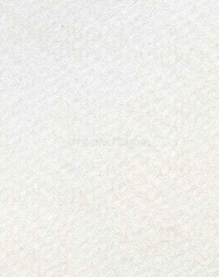 Watercolor paper seamless texture Royalty Free Vector Image