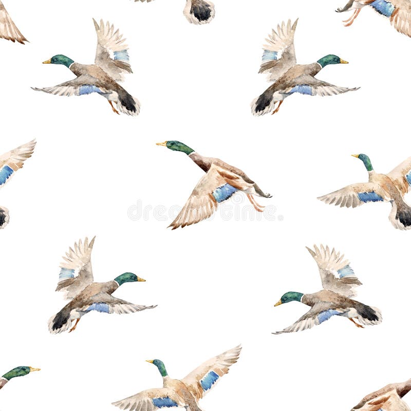 Watercolor pattern with ducks vector illustration